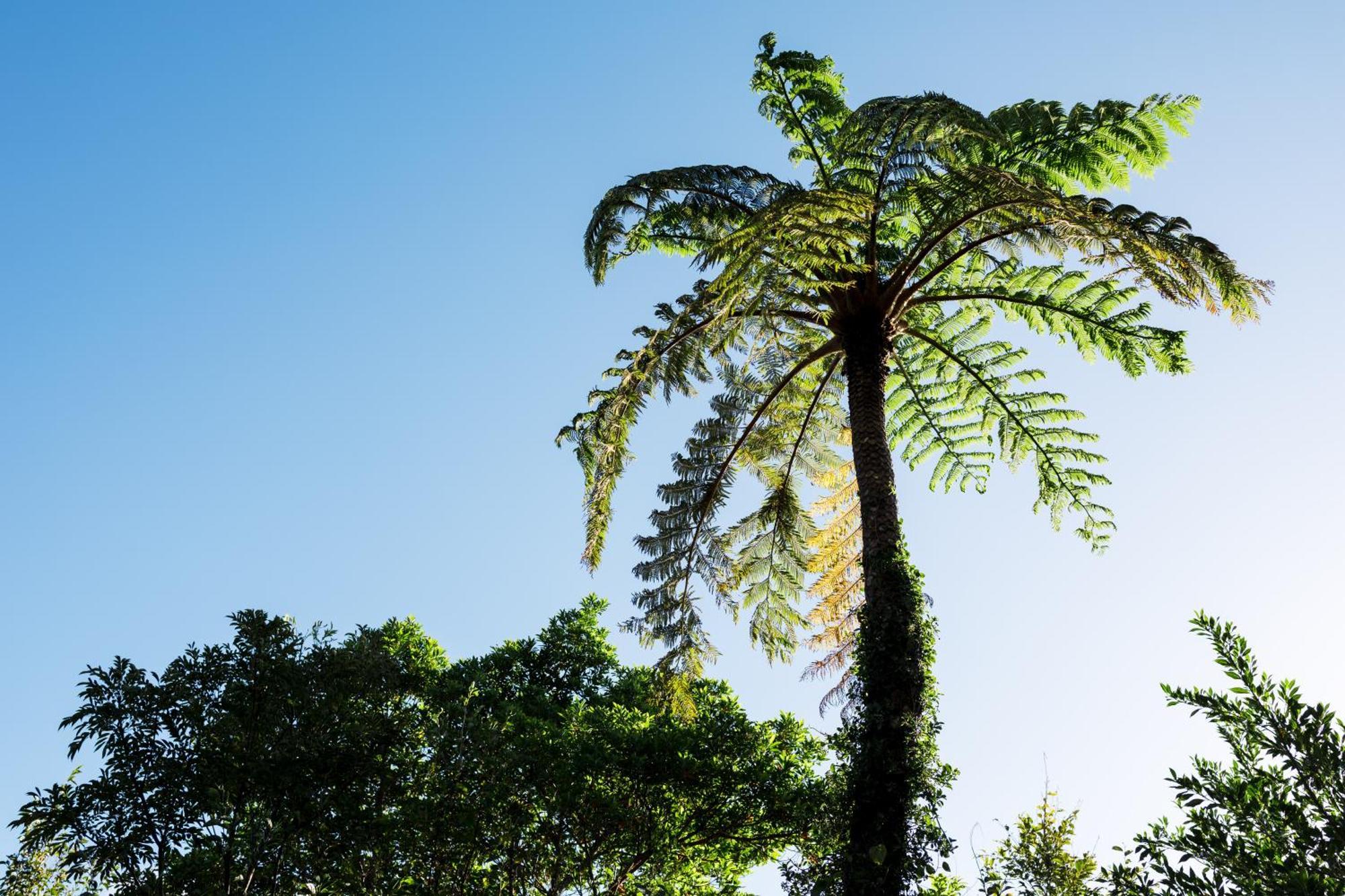 Hotel Coral Palms Suno Zewnętrze zdjęcie