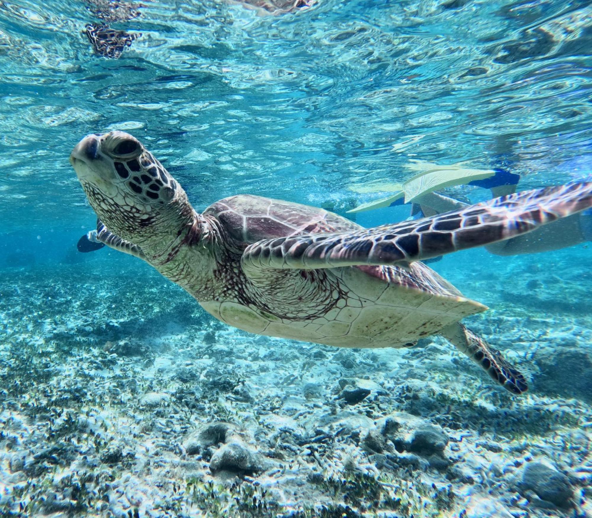 Hotel Coral Palms Suno Zewnętrze zdjęcie